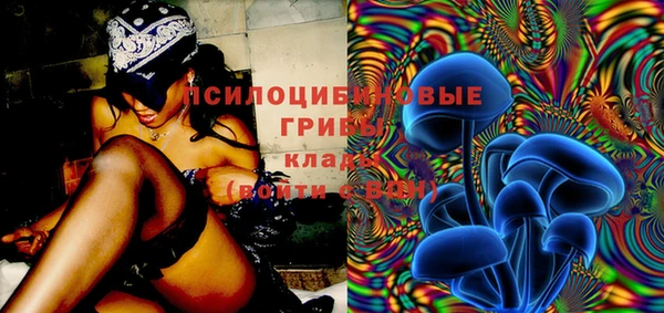 скорость Богданович