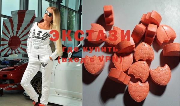 ECSTASY Богородицк