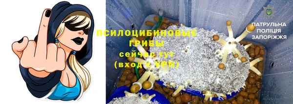 экстази Богородск