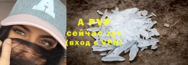 скорость Богданович