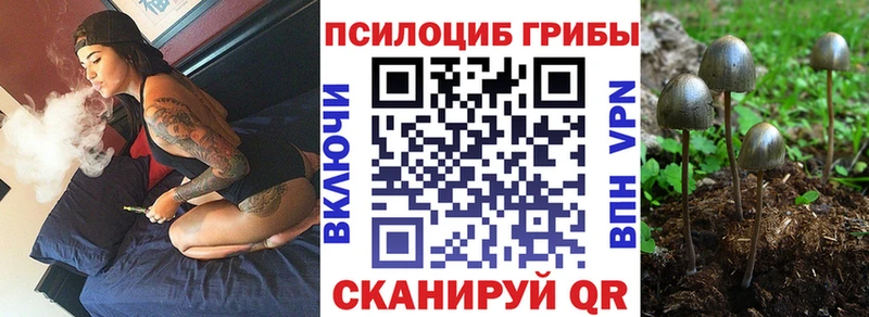 наркота Щучье Псилоцибиновые грибы ЛСД
